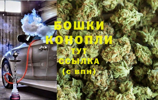 сатива Балахна