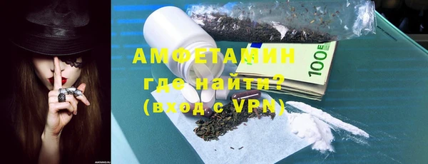 сатива Балахна