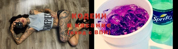 сатива Балахна