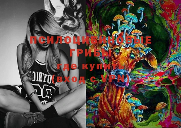 дживик Баксан