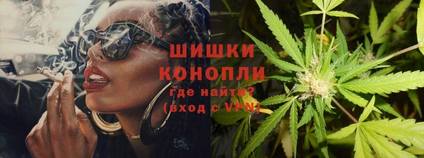 сатива Балахна
