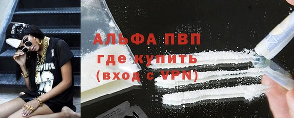 сатива Балахна