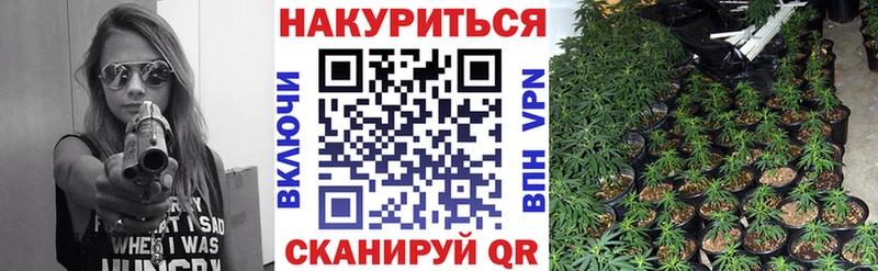 Шишки марихуана индика  Верхняя Пышма 